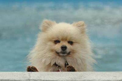Aug18_05_312.JPG