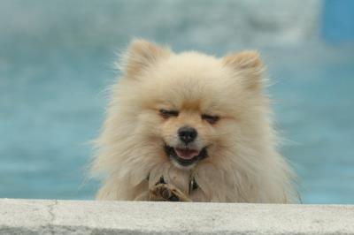 Aug18_05_314.JPG