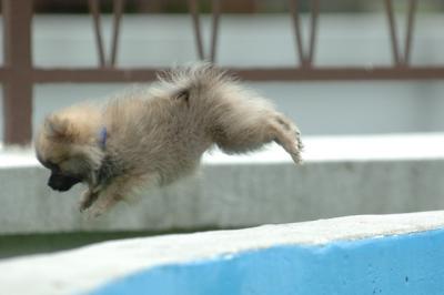Aug18_05_329.JPG