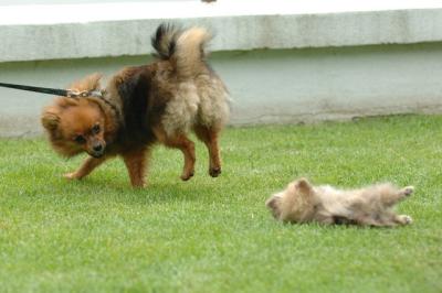 Aug18_05_330.JPG