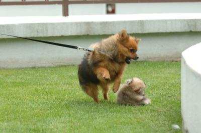 Aug18_05_331.JPG