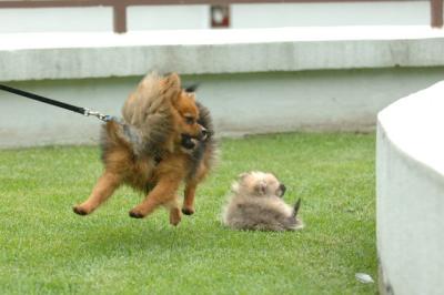 Aug18_05_332.JPG