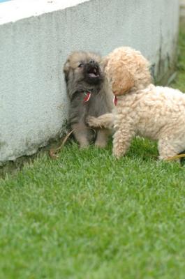 Aug18_05_343.JPG