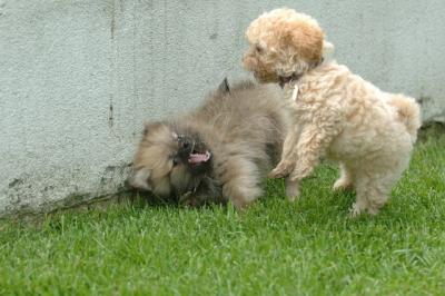 Aug18_05_347.JPG