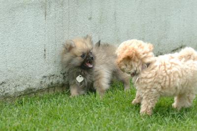 Aug18_05_348.JPG