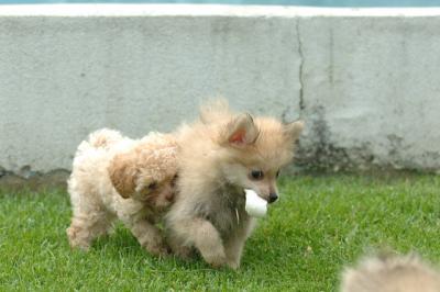 Aug18_05_350.JPG