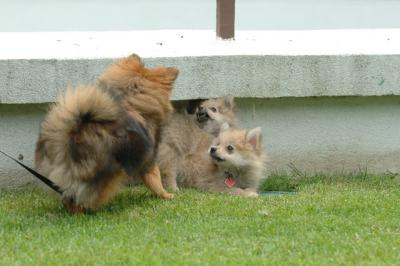 Aug18_05_354.JPG
