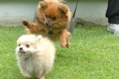 Aug18_05_355.JPG