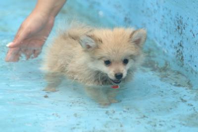 Aug18_05_359.JPG
