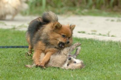 Aug18_05_366.JPG