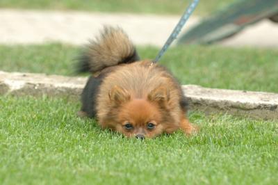 Aug18_05_383.JPG