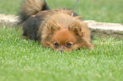 Aug18_05_384.JPG