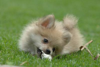 Aug18_05_146.JPG