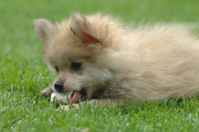 Aug18_05_148.JPG