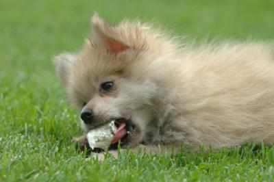 Aug18_05_149.JPG