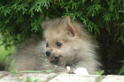 Aug18_05_205.JPG