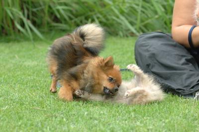 Aug18_05_225.JPG