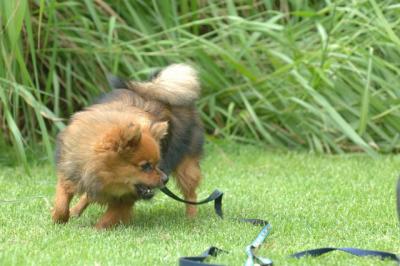 Aug18_05_227.JPG