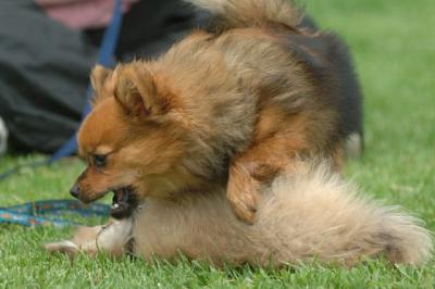 Aug18_05_228.JPG