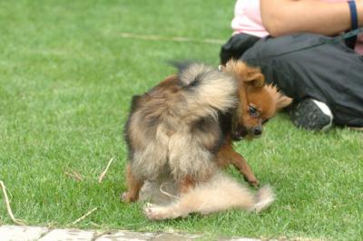 Aug18_05_239.JPG