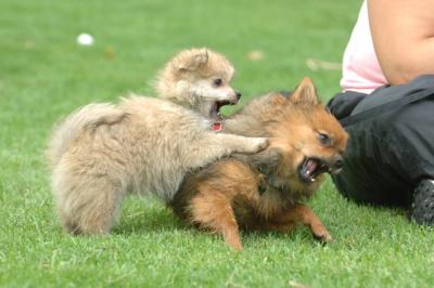 Aug18_05_242.JPG