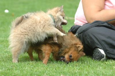 Aug18_05_243.JPG