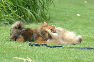 Aug18_05_247.JPG
