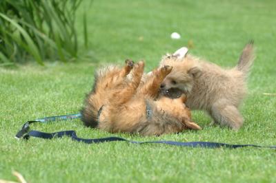 Aug18_05_250.JPG
