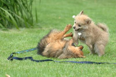 Aug18_05_251.JPG