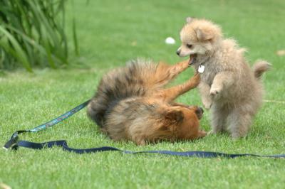 Aug18_05_252.JPG