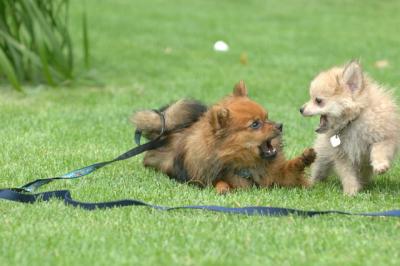 Aug18_05_254.JPG