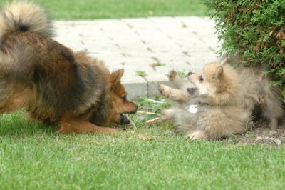 Aug18_05_256.JPG