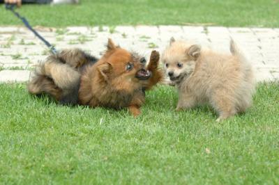 Aug18_05_259.JPG