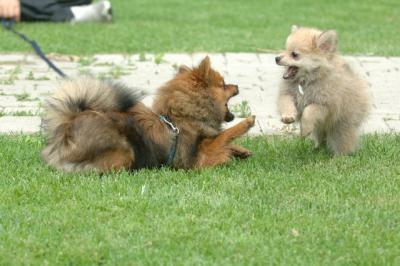 Aug18_05_260.JPG