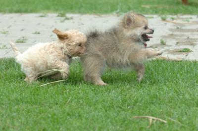 Aug18_05_263.JPG