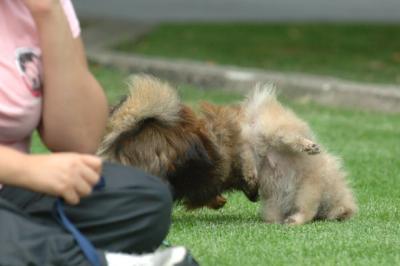 Aug18_05_267.JPG