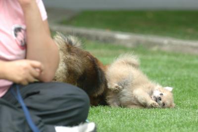 Aug18_05_268.JPG