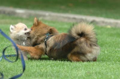 Aug18_05_269.JPG