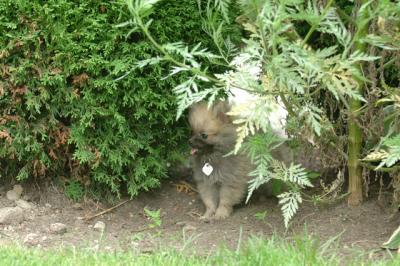 Aug18_05_272.JPG