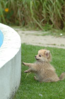 Aug18_05_275.JPG