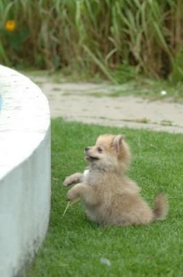 Aug18_05_276.JPG