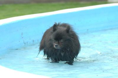 Aug18_05_282.JPG