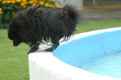 Aug18_05_285.JPG
