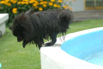 Aug18_05_287.JPG