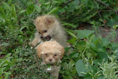 Aug20_05_046.JPG