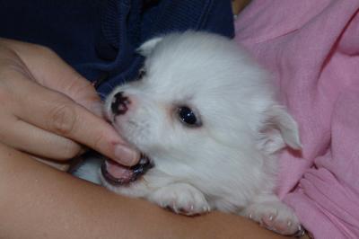 Sept1_05_246.JPG