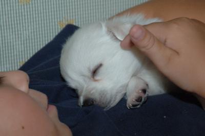 Sept1_05_269.JPG