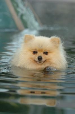 Sept11_05_148.JPG