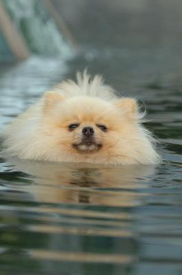 Sept11_05_149.JPG