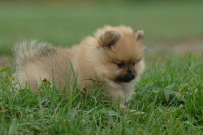 Oct18_05_120.JPG